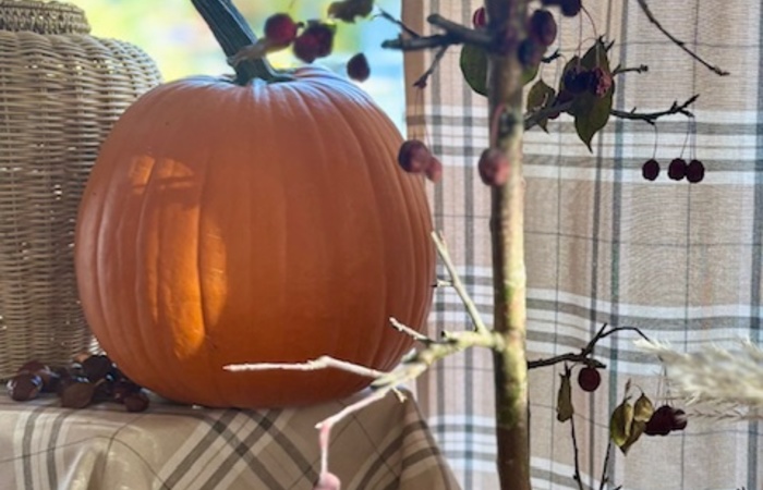 Integration in a Halloween atmosphere