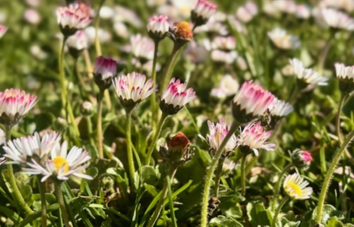 Explore the city of Gdańsk