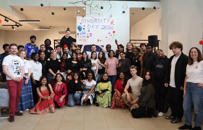 Diversity Day- festival of cultures
